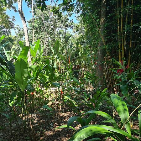 Willa El Jardin De Playa Negra Puerto Viejo de Talamanca Zewnętrze zdjęcie