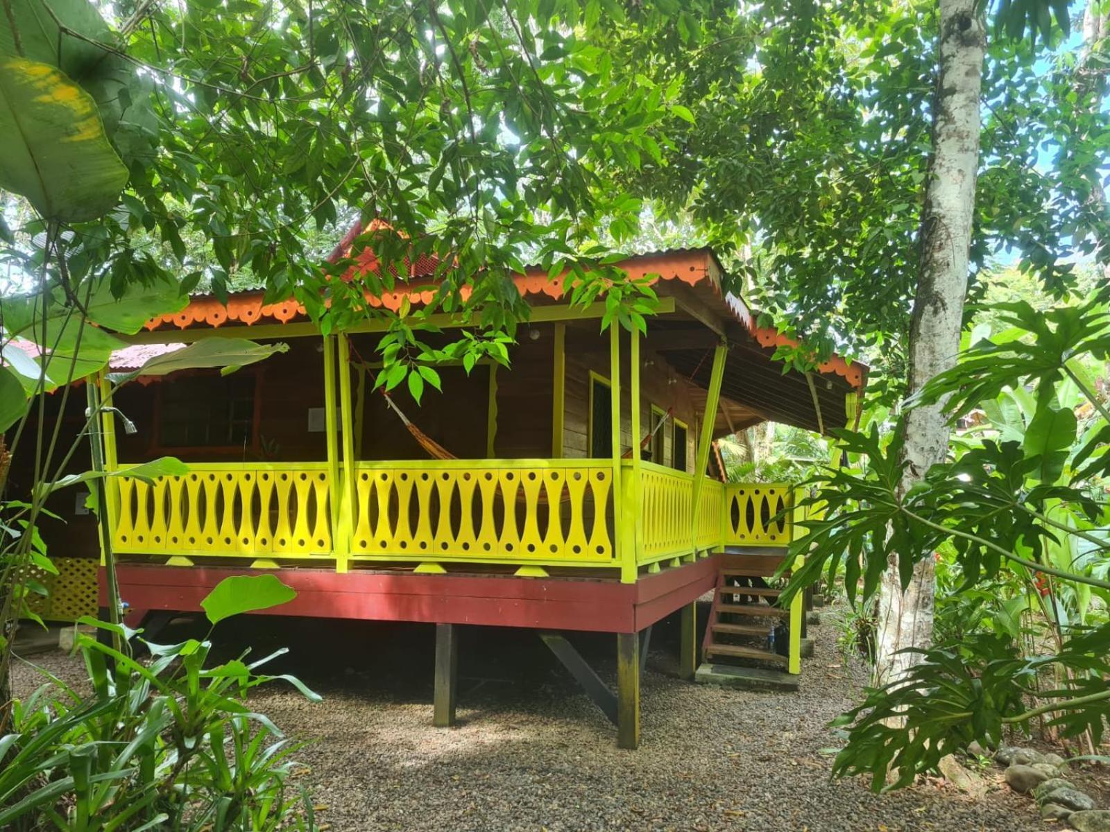 Willa El Jardin De Playa Negra Puerto Viejo de Talamanca Zewnętrze zdjęcie