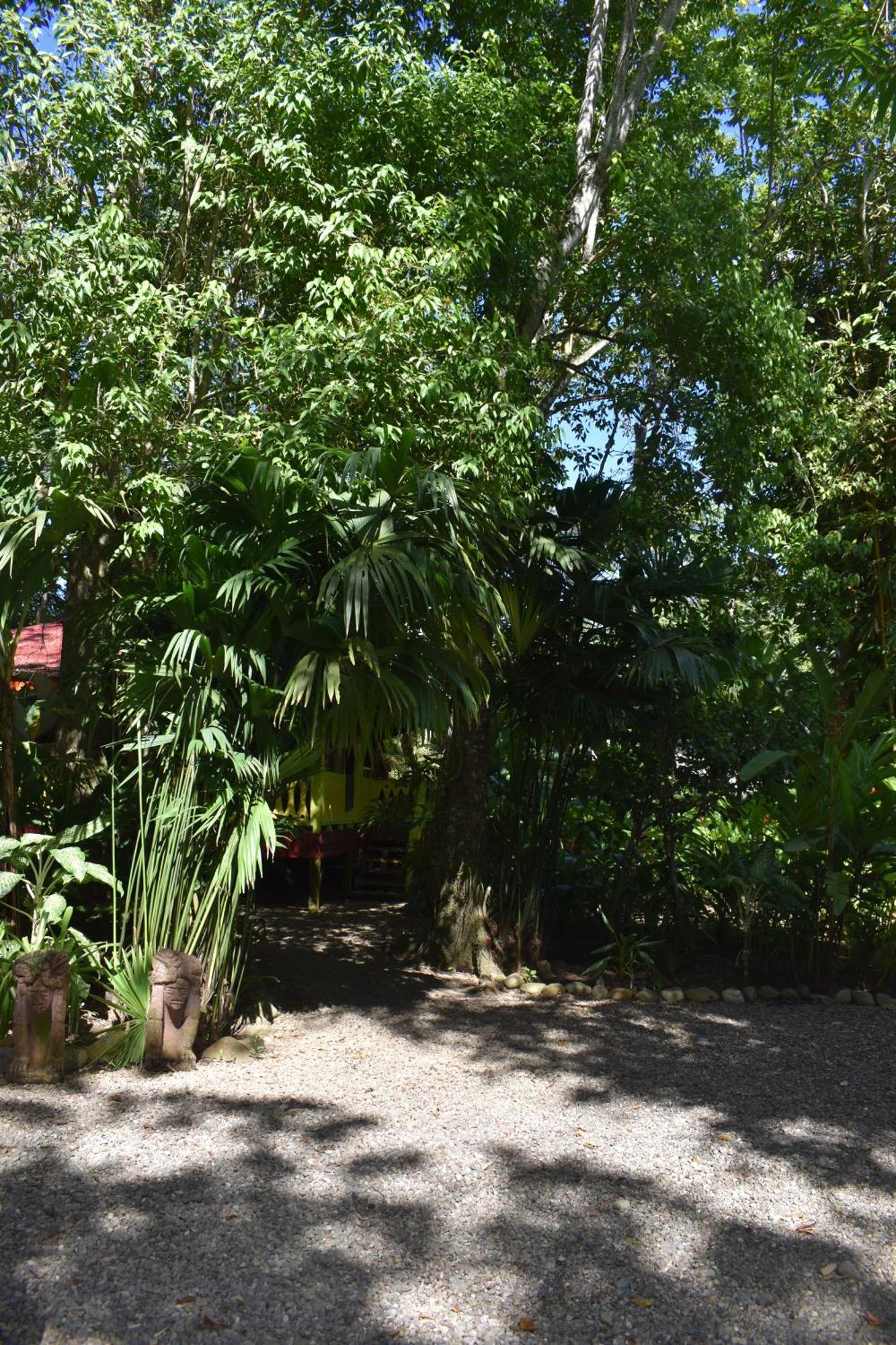 Willa El Jardin De Playa Negra Puerto Viejo de Talamanca Zewnętrze zdjęcie