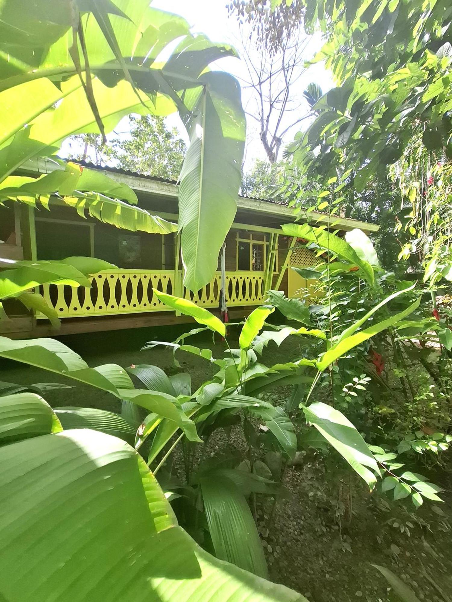Willa El Jardin De Playa Negra Puerto Viejo de Talamanca Zewnętrze zdjęcie