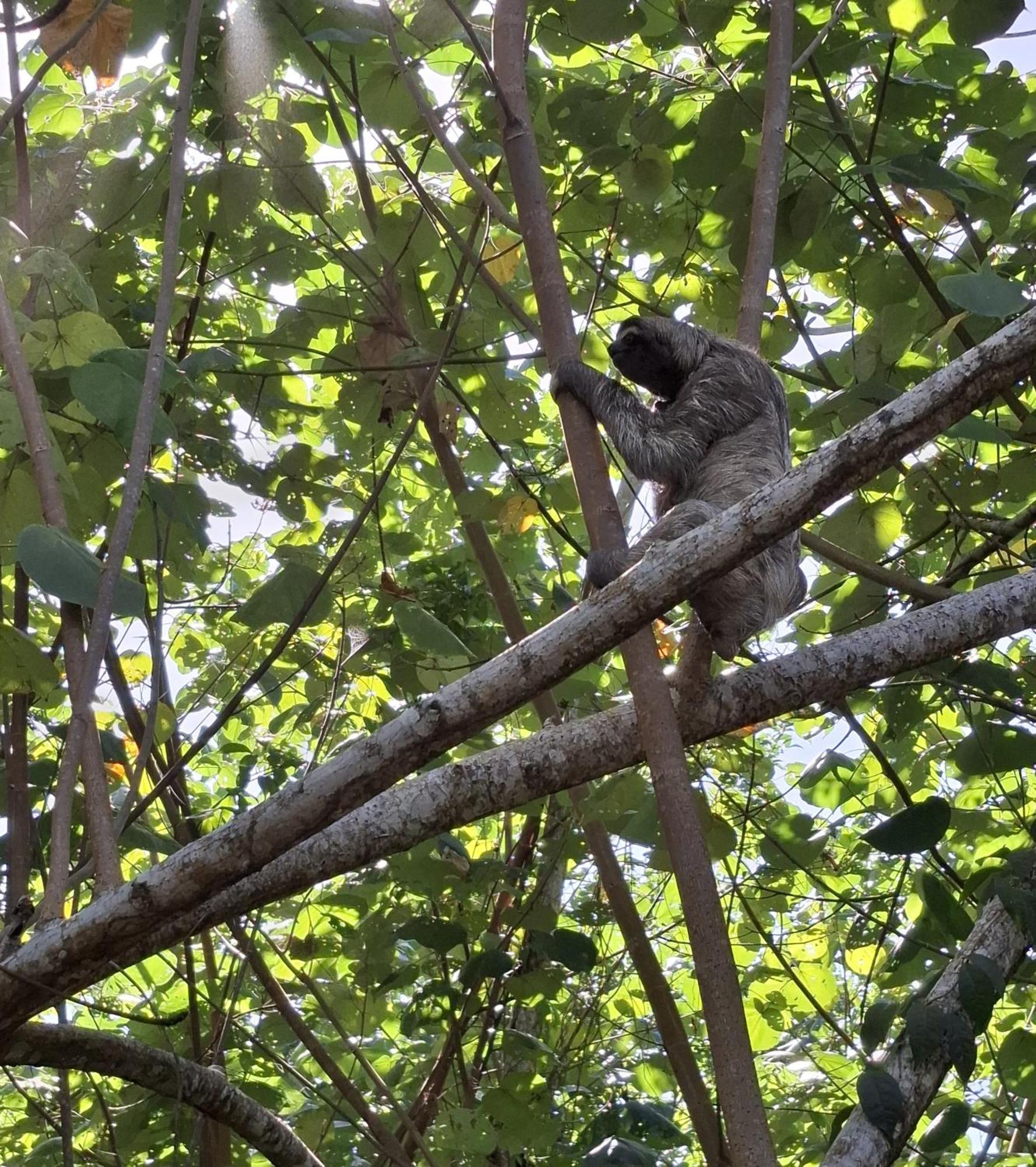 Willa El Jardin De Playa Negra Puerto Viejo de Talamanca Zewnętrze zdjęcie