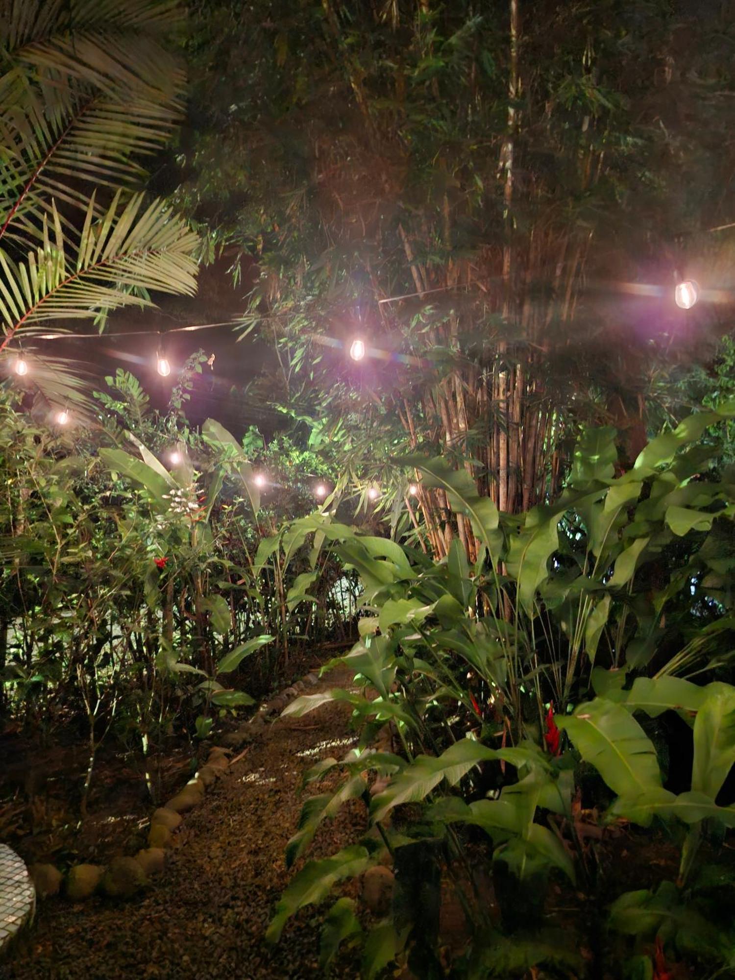 Willa El Jardin De Playa Negra Puerto Viejo de Talamanca Zewnętrze zdjęcie