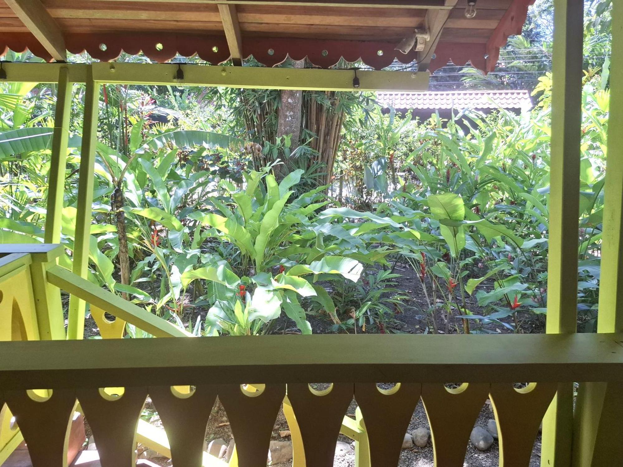 Willa El Jardin De Playa Negra Puerto Viejo de Talamanca Zewnętrze zdjęcie