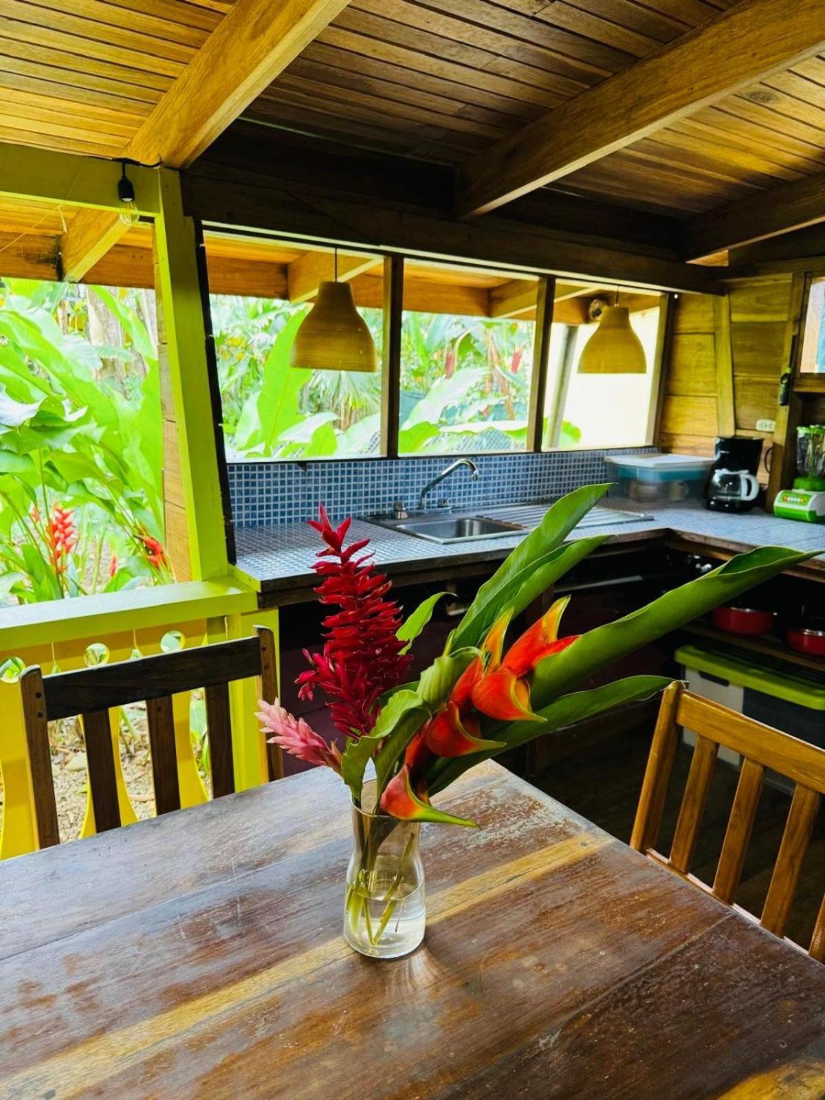 Willa El Jardin De Playa Negra Puerto Viejo de Talamanca Zewnętrze zdjęcie