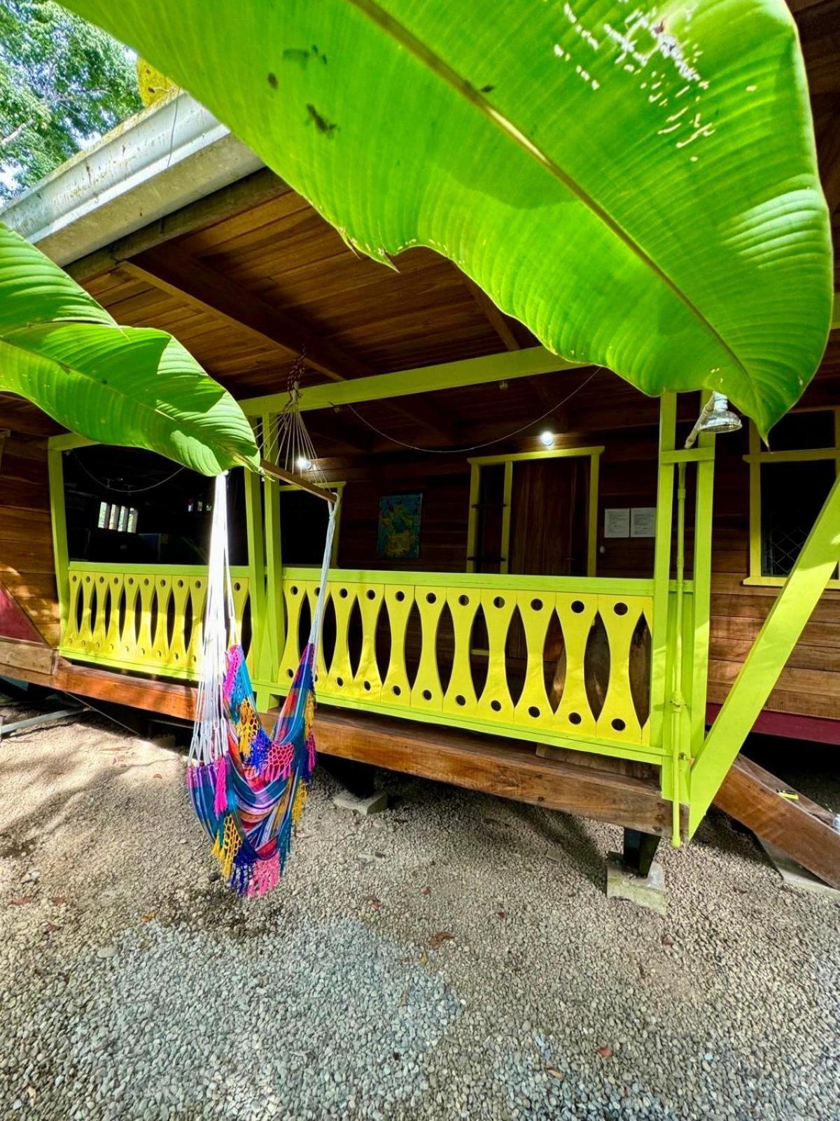 Willa El Jardin De Playa Negra Puerto Viejo de Talamanca Zewnętrze zdjęcie