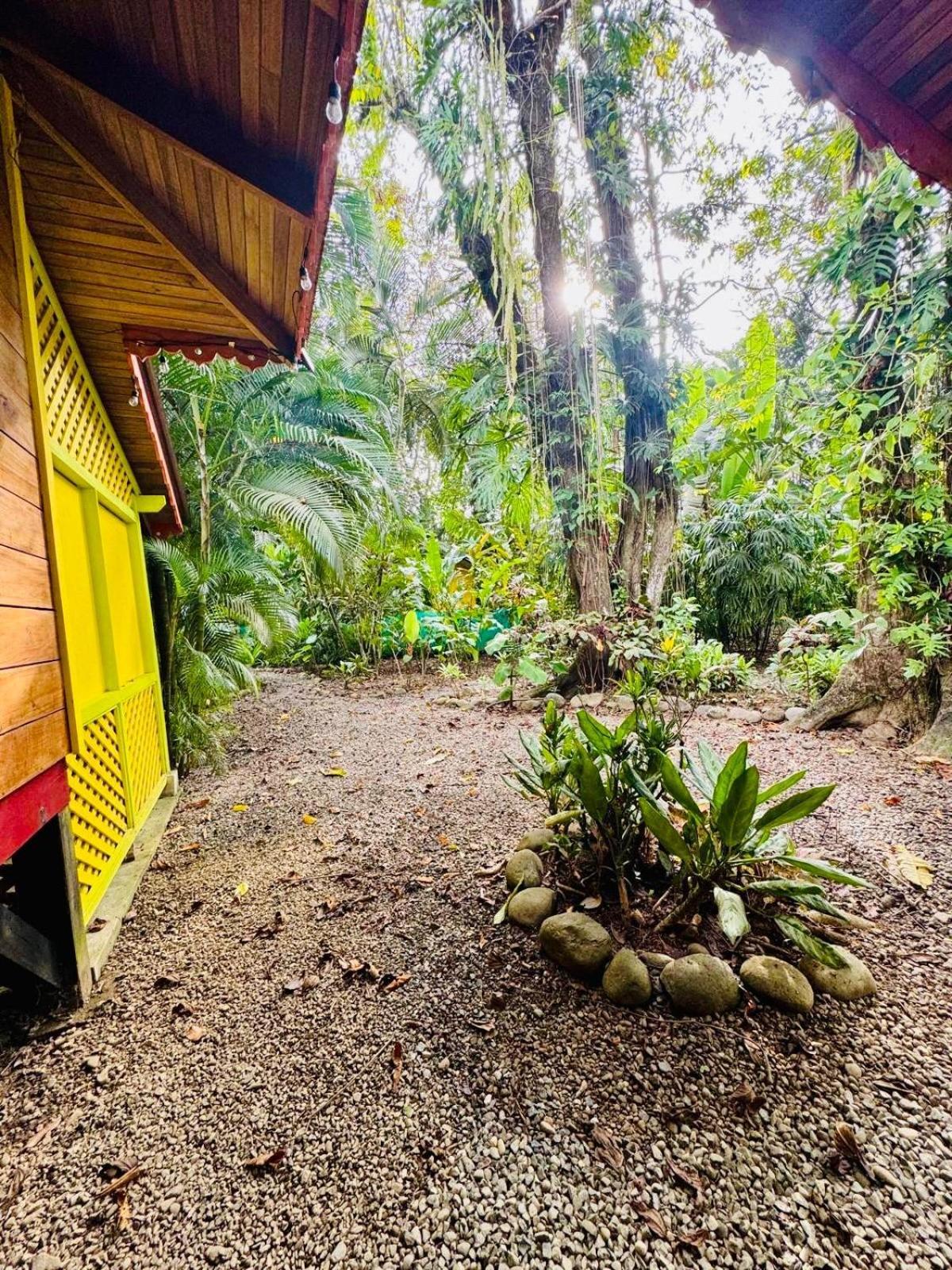 Willa El Jardin De Playa Negra Puerto Viejo de Talamanca Zewnętrze zdjęcie