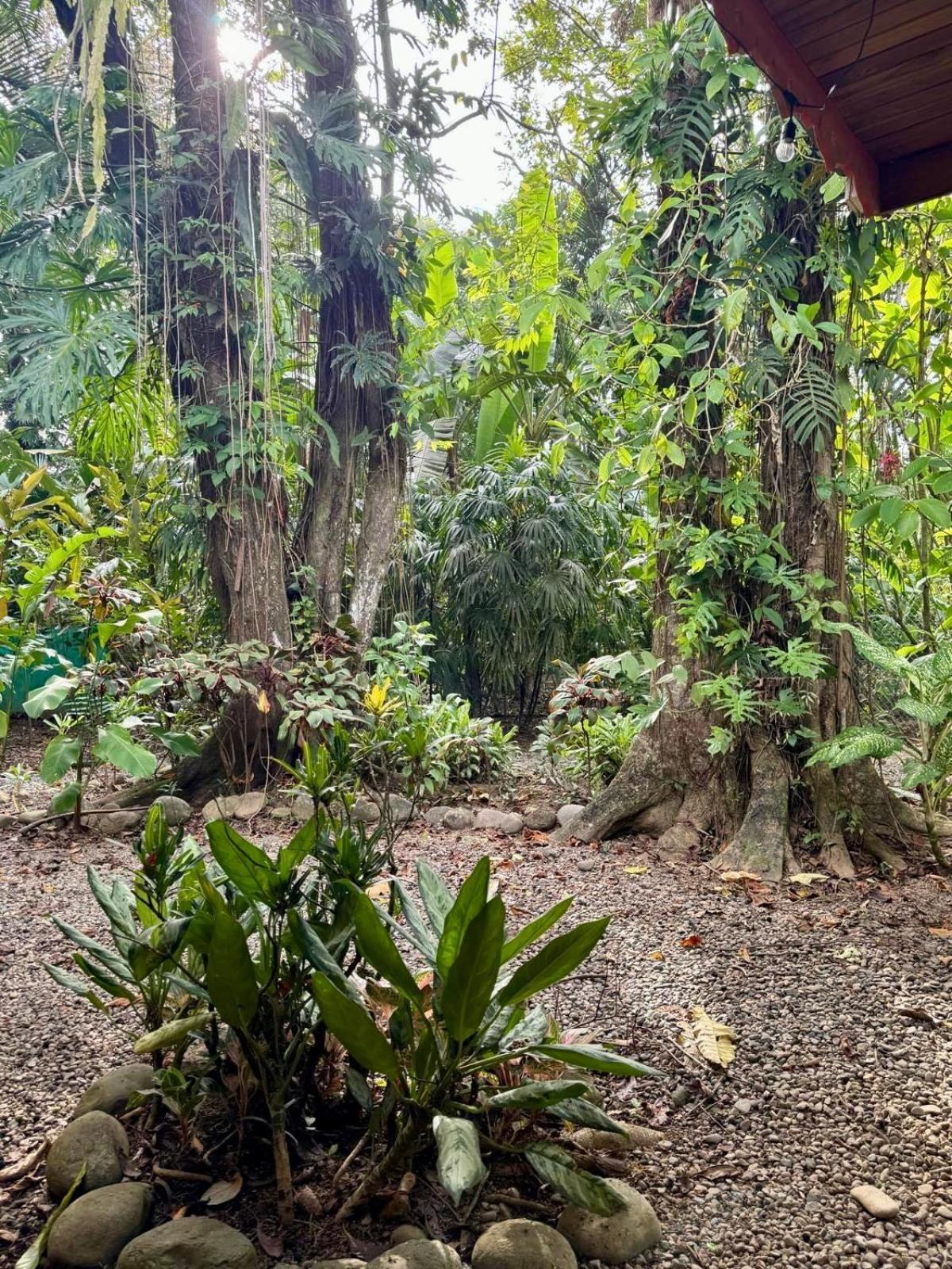Willa El Jardin De Playa Negra Puerto Viejo de Talamanca Zewnętrze zdjęcie