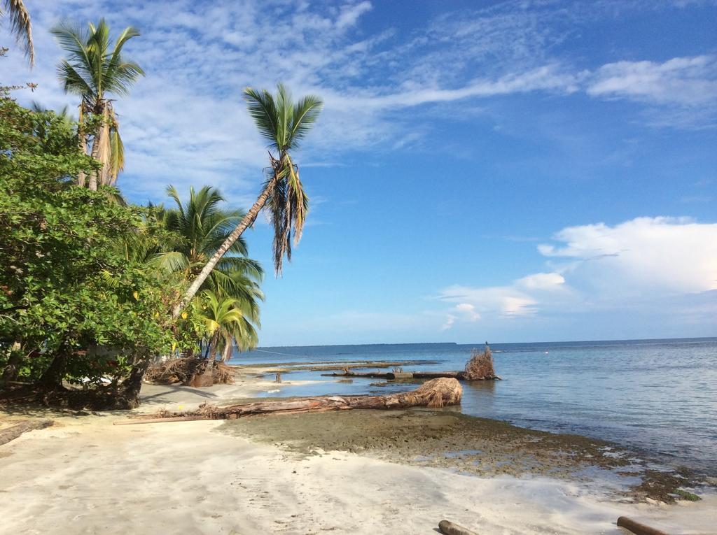 Willa El Jardin De Playa Negra Puerto Viejo de Talamanca Zewnętrze zdjęcie
