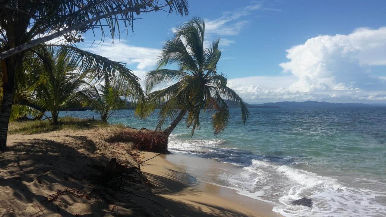 Willa El Jardin De Playa Negra Puerto Viejo de Talamanca Zewnętrze zdjęcie