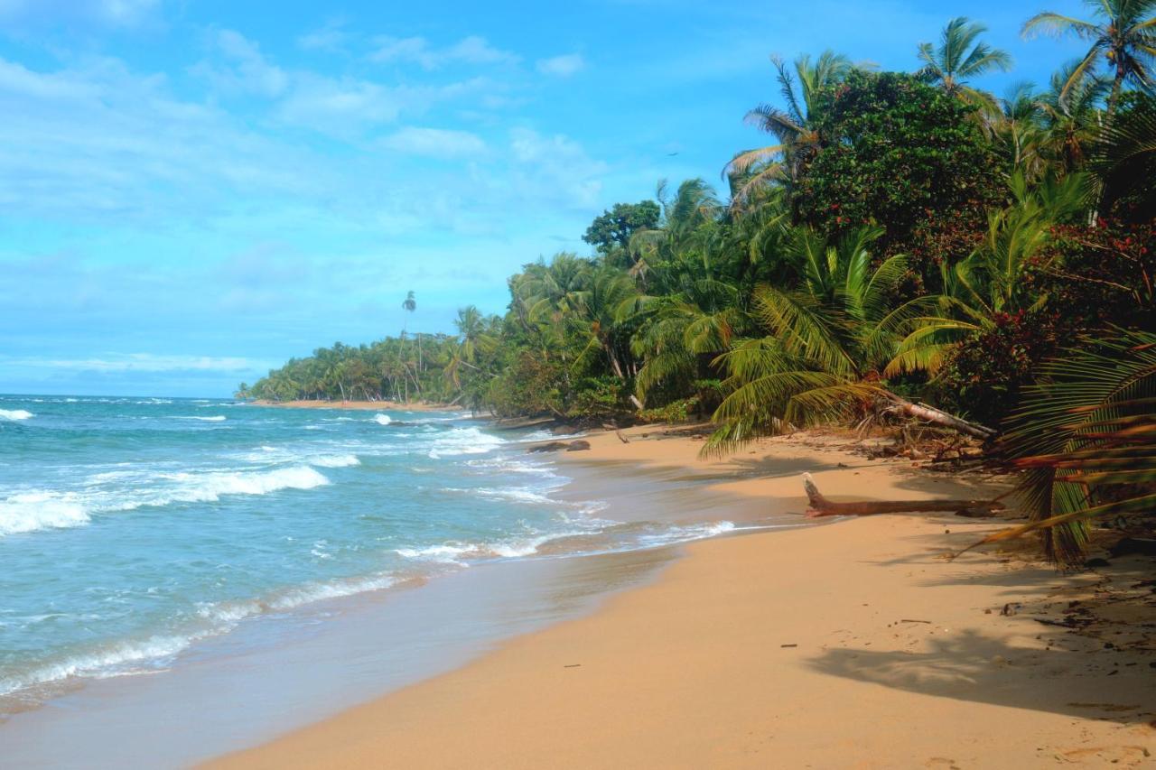 Willa El Jardin De Playa Negra Puerto Viejo de Talamanca Zewnętrze zdjęcie